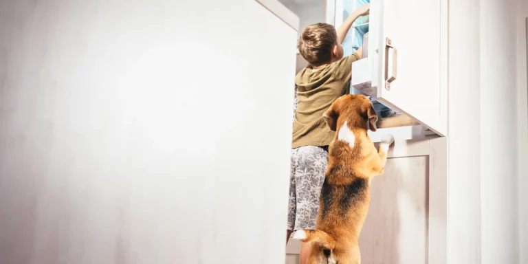 What Can Dogs Eat? Human Foods That Are Good and Bad for Your Dog