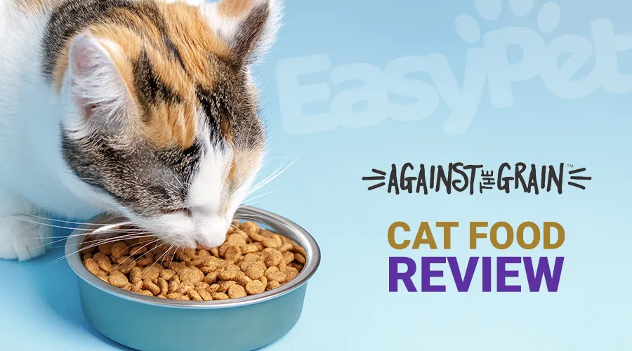 Against the Grain Cat Food Review