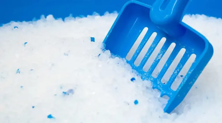 What Is The Best Crystal Cat Litter?