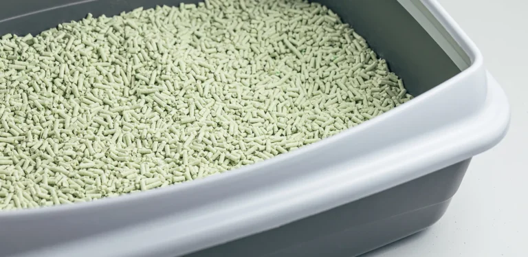 The Best Biodegradable Cat Litter – 4 Natural Alternatives for A Healthier Litter Box