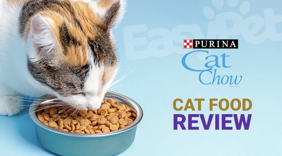 Purina Cat Chow Cat Food Review