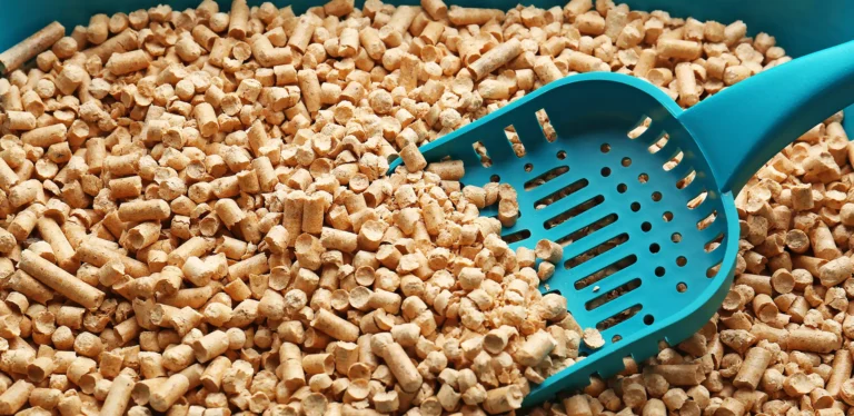 Best Cat Litter Scoop : 4 Scoops Rise To The Top After Our Product Testing