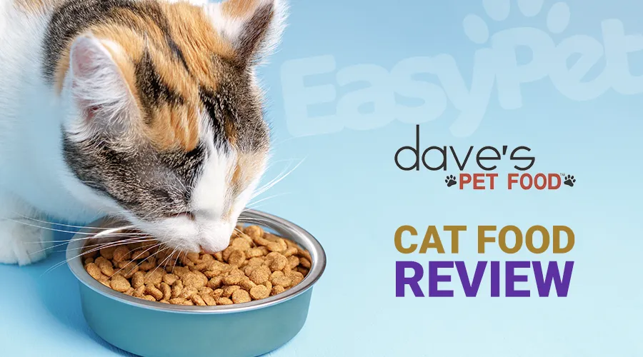 Dave's Cat Food Review