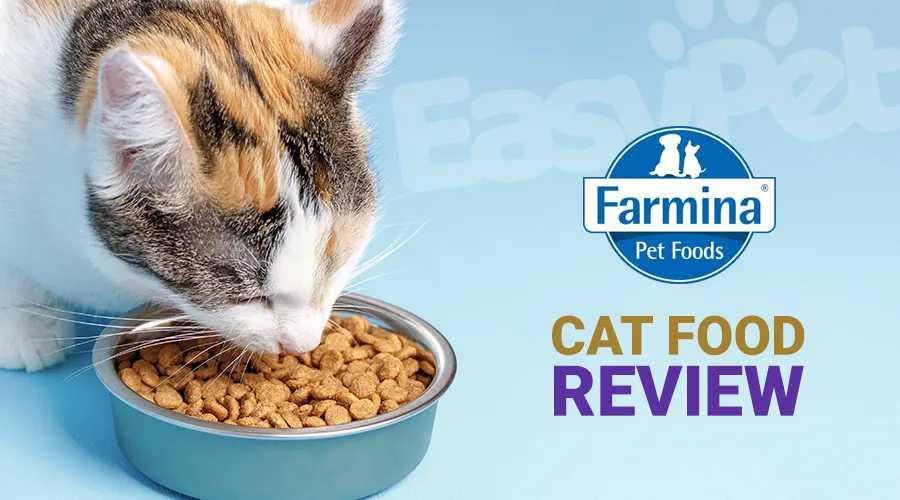Farmina Cat Food Review