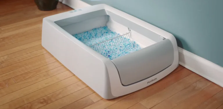 Best Self Cleaning Cat Litter Box : 5 Automatic Litter Boxes We Love