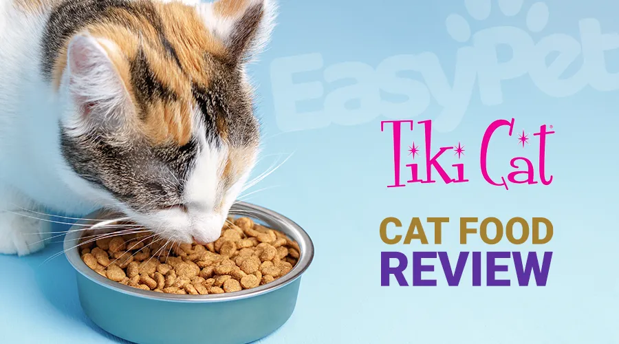TikiCat Cat Food Review