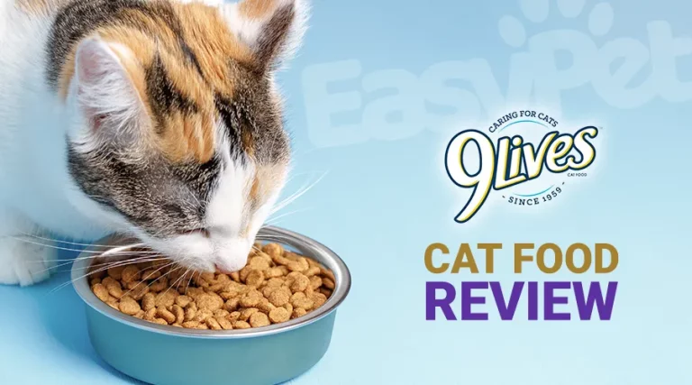 9 Lives Cat Food Review 2023 – Is 9 Lives a Good Cat Food?