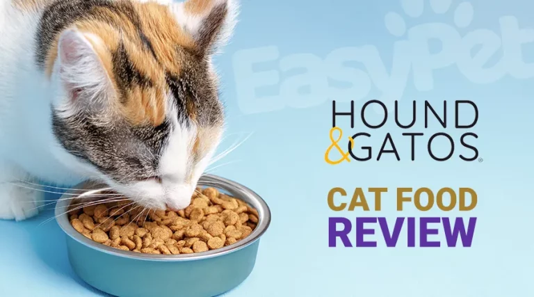 Hound & Gatos Cat Food Review 2023 – Is Hound & Gatos a Good Cat Food?