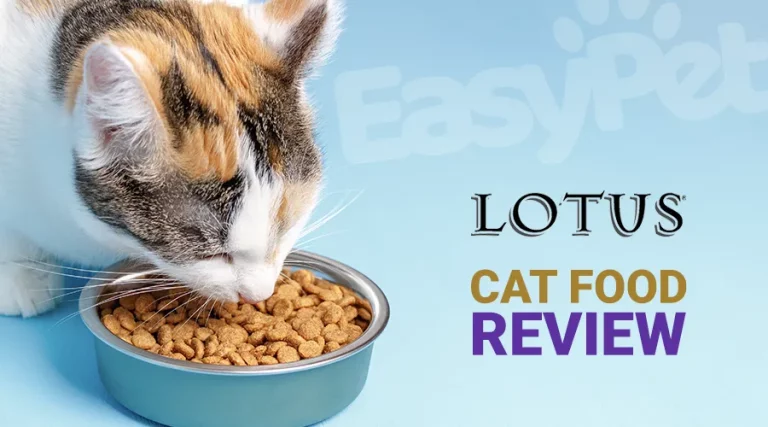 Lotus Cat Food Review 2023 – Is Lotus a Good Cat Food?