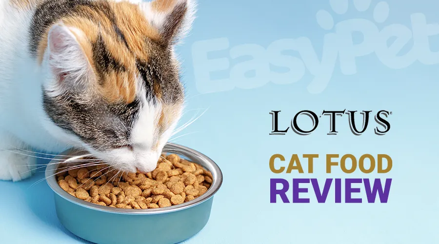 Lotus Cat Food Review