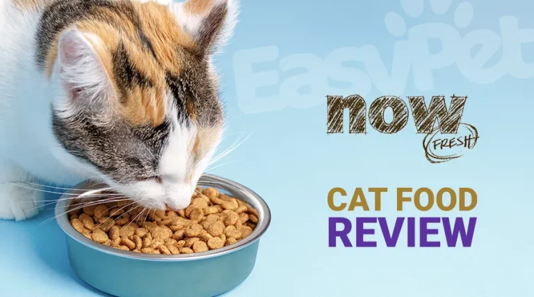 Now Fresh Cat Food Review 2023 – Is Now Fresh a Good Cat Food?