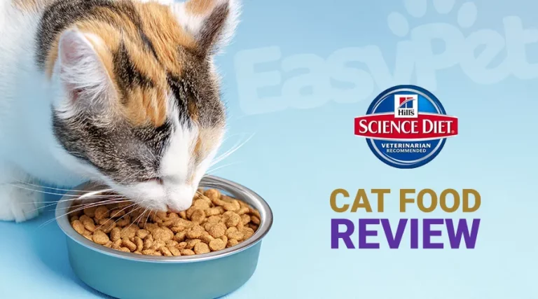 Hills Science Diet Cat Food Review 2023 – Is Science Diet a Good Cat Food?