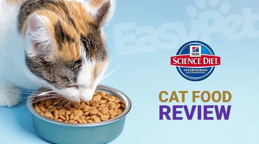 Science Diet Cat Food Review