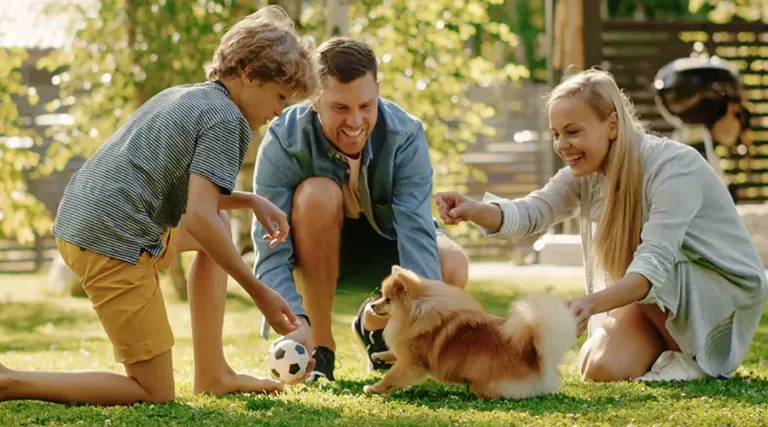 Smartest Small Dogs : 11 Brainy, Bite-Sized Breeds To Consider
